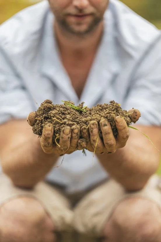 Biowein - aus Respekt vor der Natur